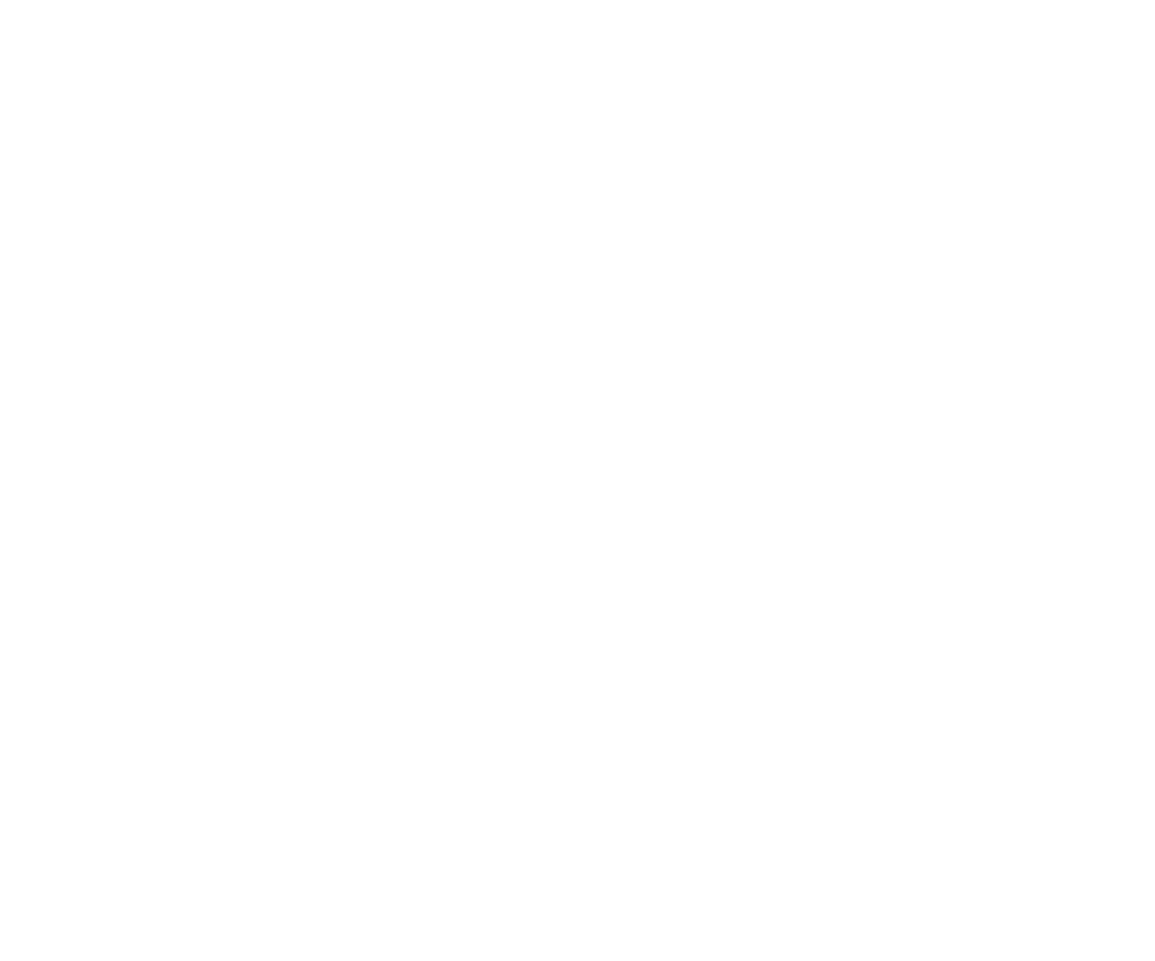 valve for the future